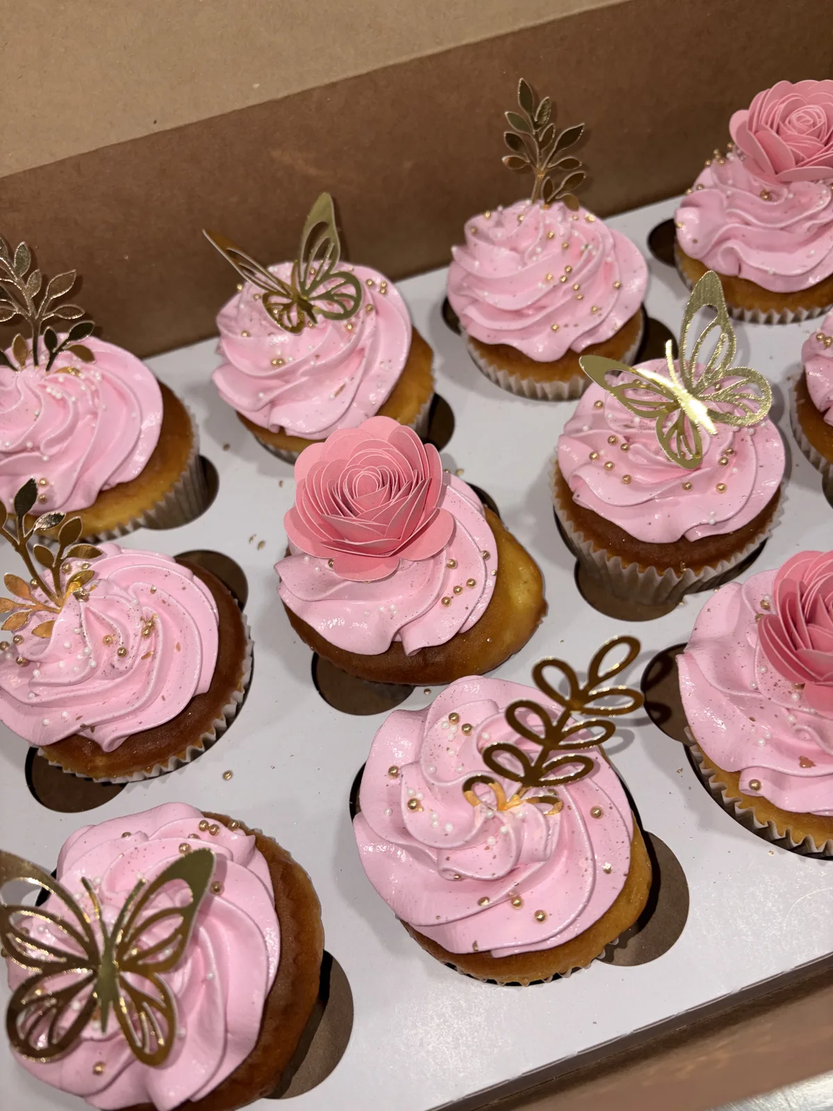 Cupcakes regular