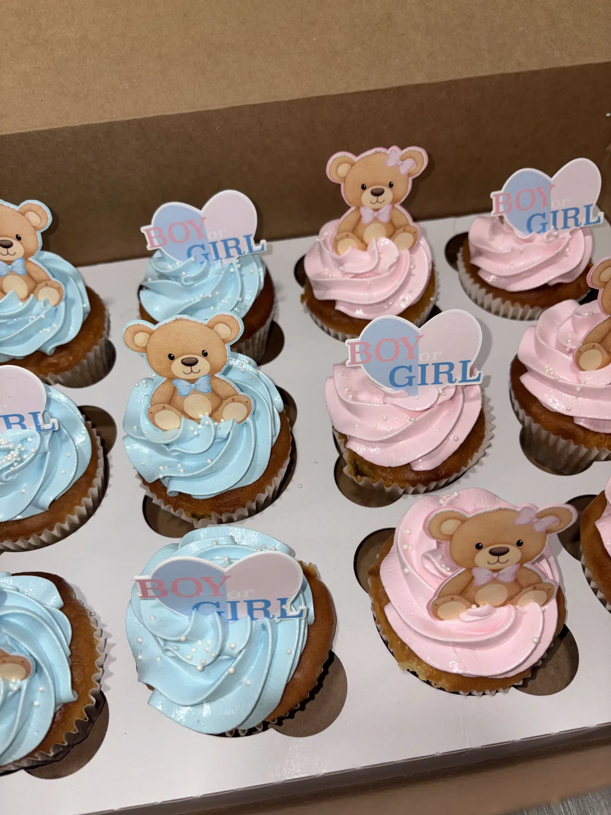 Cupcakes regular